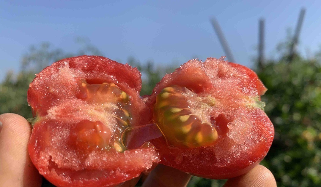 为了家人的健康,冰箱万不能冷藏4种食物,看后记得拿走