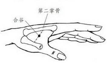 调理|含胸驼背不精神教你4个方法挺拔身姿，坚持一个月效果出乎意料