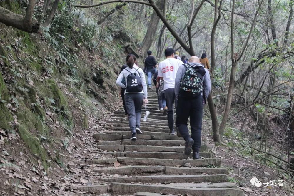 更喜南山千倾野，卅公里后尽开颜