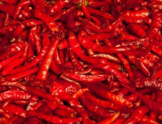 大鱼大肉|产后坐月子,别总是大鱼大肉,喝浓汤,母乳喂养也轻松