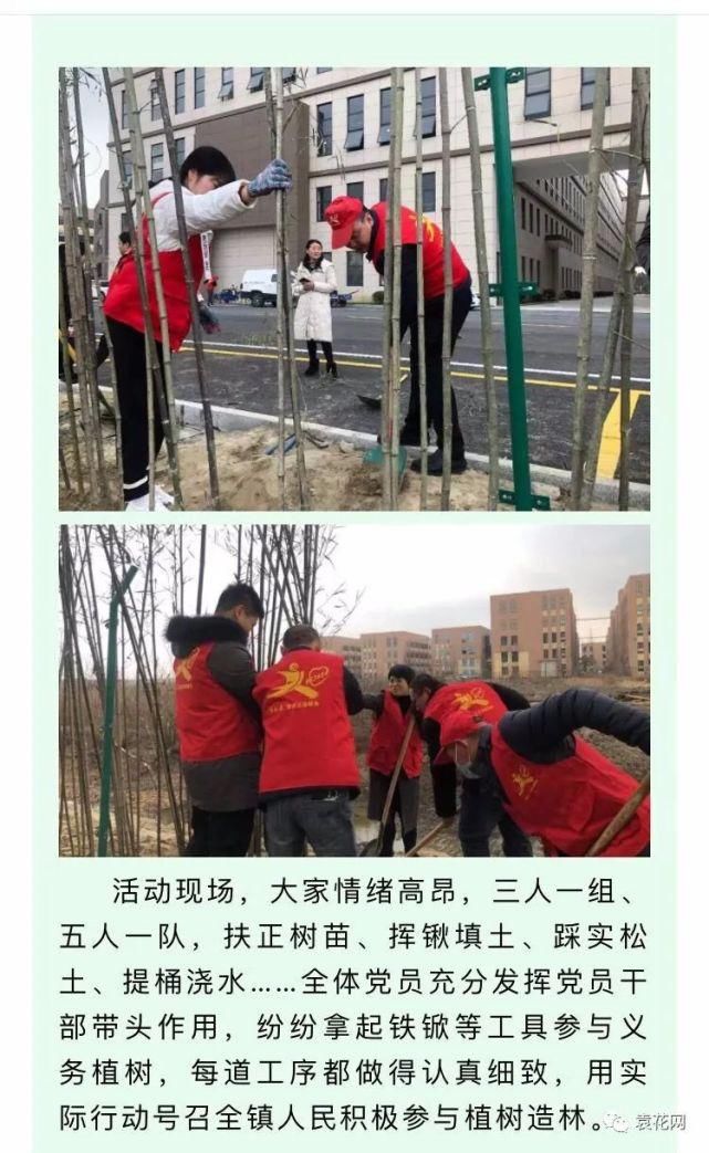 沐小镇阳光雨露，添袁花有氧新绿！这场活动意义非凡！