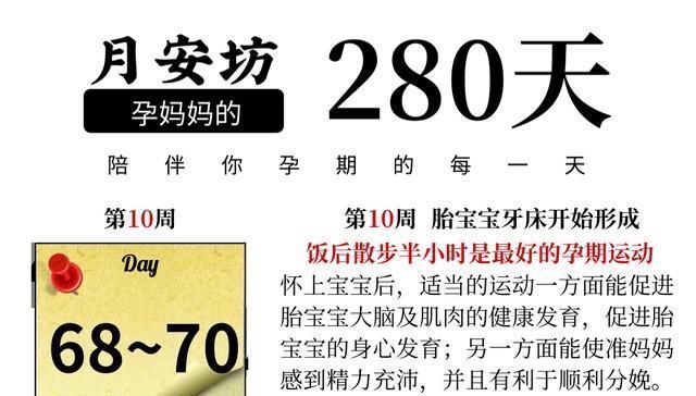 准妈妈|坚持每天饭后陪准妈妈做半个小时这个事,就是合格的准爸爸