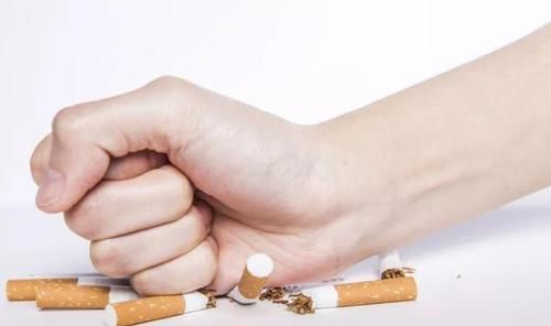 运动|50岁后养生：营养比运动重要，坚持这5件事，为可以活久点做准备