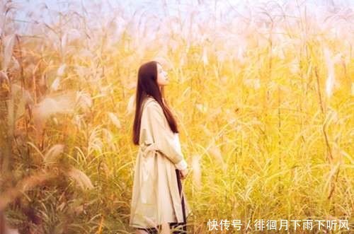 八首秋诗一抹残香寒石径,半轮秋影渡愁心