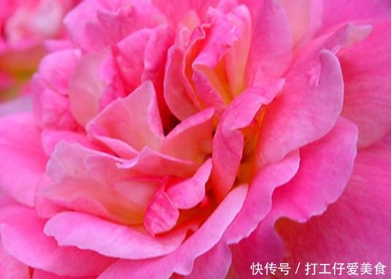 “命苦”不是天生的,有3点要注意,人生才能一帆风顺福运满满!