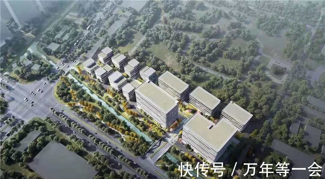 宝山|四证齐发、拿地即开工,这个“湾区”缘何加码布局机器人?