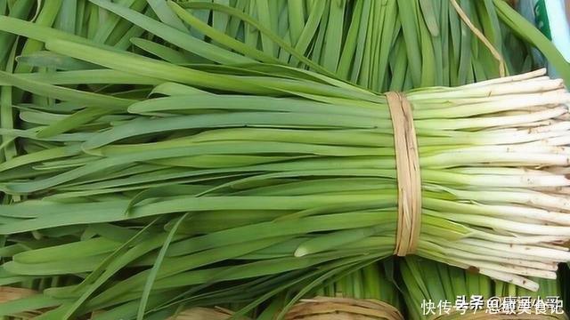 叶韭菜|买韭菜时,挑宽叶还是细叶,菜农:别再挑错了,难吃还浪费钱