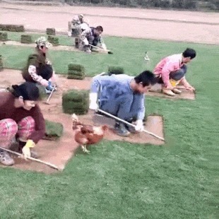 |搞笑GIF：妹纸的脸简直太魔性了，看的止不住笑