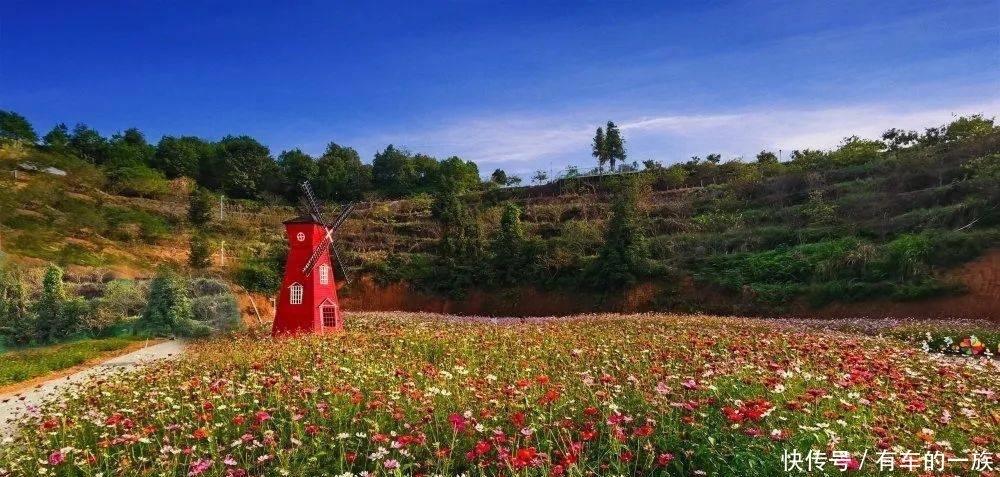 龙川|这个周末，龙川又一旅游基地将会有大动作