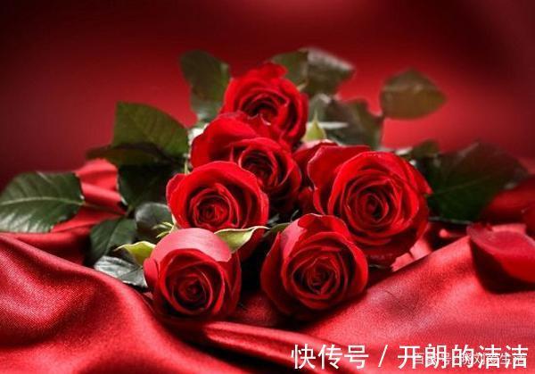 玫瑰花和月季花长得很像，如何正确区分