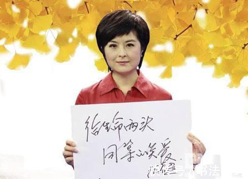 张泉灵#退出央视的张泉灵,其硬笔书法不错,果敢沉静,成交流传阅的焦点