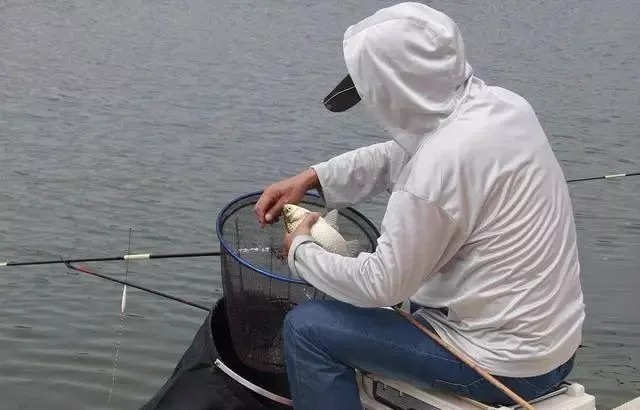 深秋难钓鲫鱼?试试老钓友这一招,专钓大鲫鱼,现在用最合适