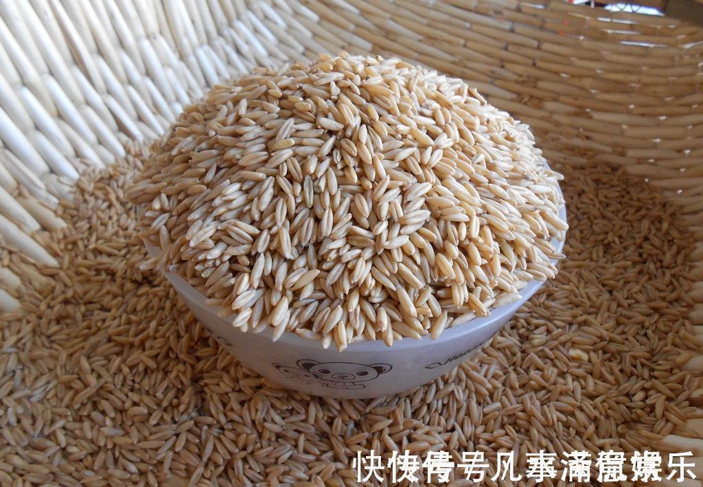 长寿麦|燕麦是长寿麦,坚持吃的人不容易出现癌症,但三种吃法却并不可取