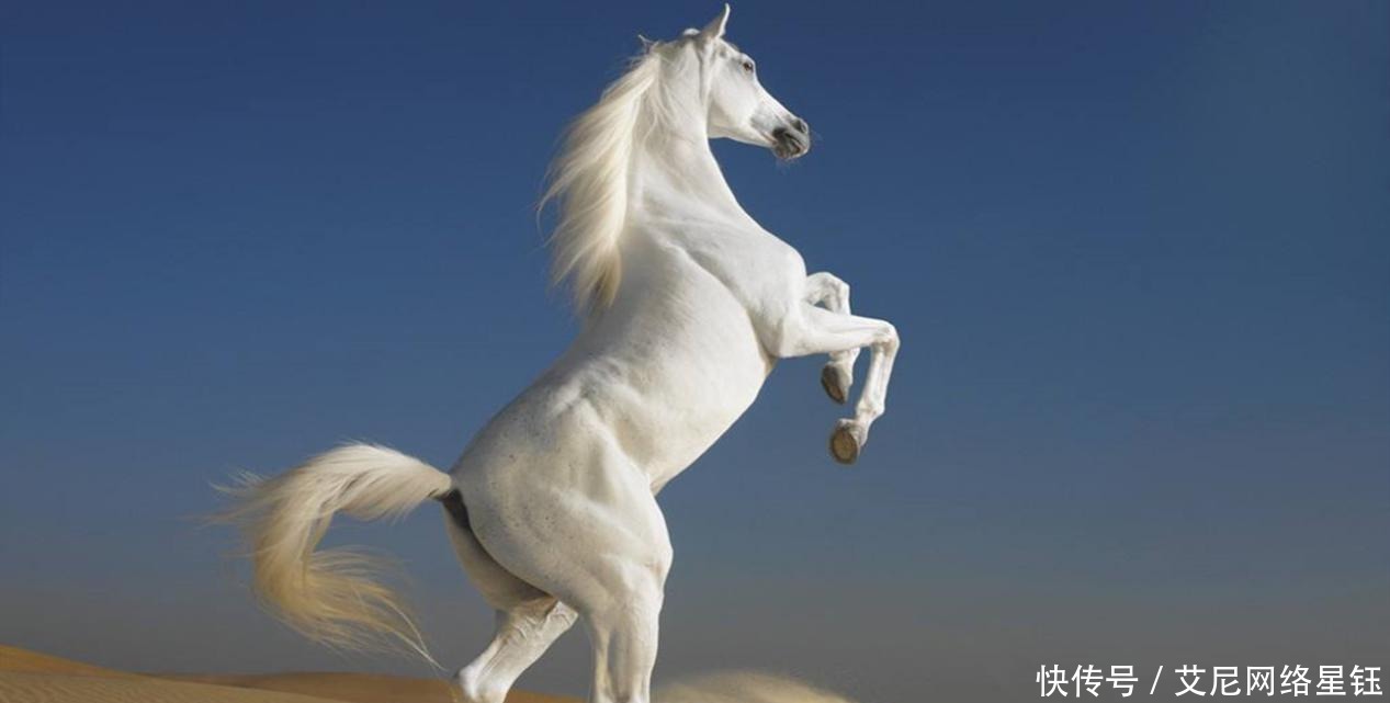 诸葛亮|徐庶走马荐诸葛，为何他要离开时，才想到推荐诸葛亮？原因不简单