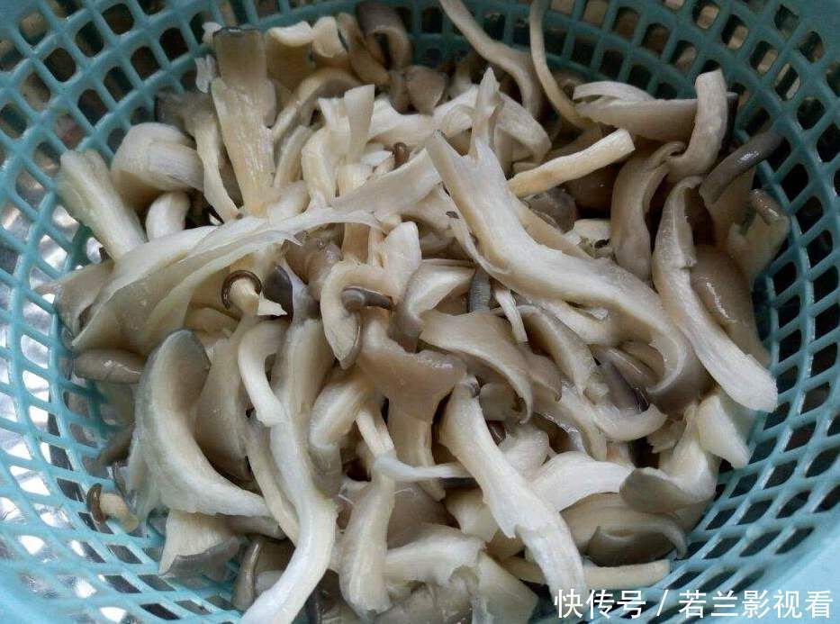 中薪|少吃牛羊肉,不管有钱没钱,都要给孩子吃它,补充氨基酸,猛长个