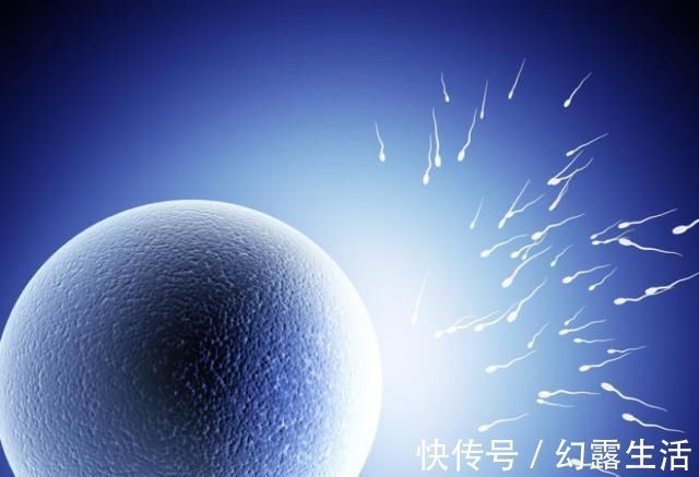 宝宝|怀孕1~40周,每周身体有何变化?送你一份“孕期清单表”!