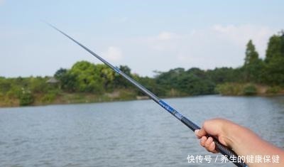 阈值|想要钓大鱼不爆竿,就别只盯着鱼竿顶钓拉力值,调性才是最关键的