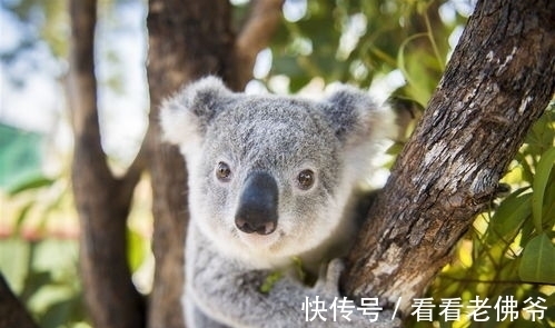 裸睡|31个冷知识:学校里不会教,但却可以使人博学的奇怪知识