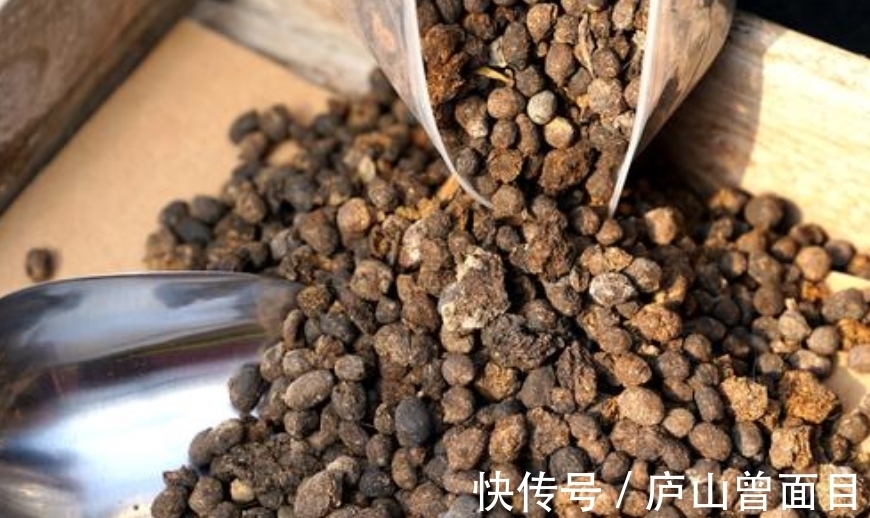 技巧|羊粪真是好,养花种菜少不了,要想用它来种花,使用技巧要知道