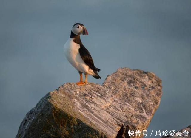 全球4大天然心形景点，豊似湖上榜，第四个需预约直升机才能看到