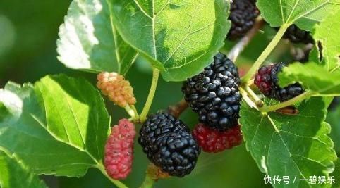 女人|女人“例假”走后,多吃3种碱性食物,还能唤醒人生第二春!