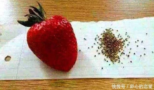 美女|水果新吃法:一个比一个厉害,不过我只服最后吃甘蔗的美女!