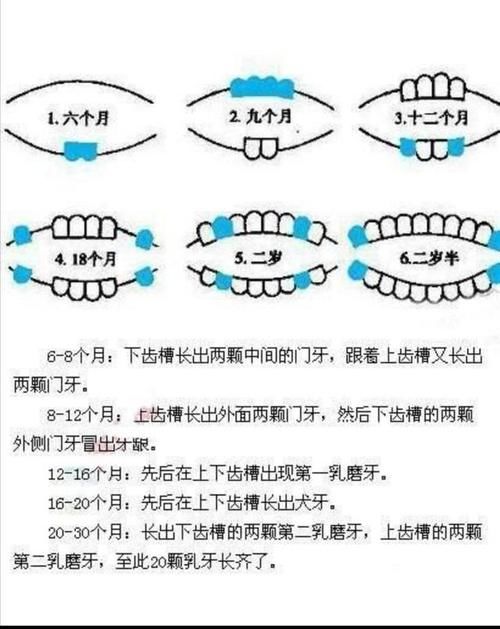 始长乳牙|出牙多大能长齐？要注意什么？