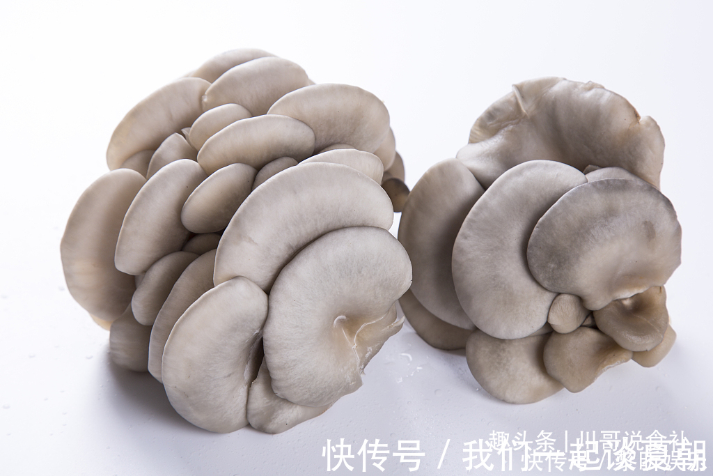 买平菇时，挑大的还是小的老菜农教您一招，别再买错了