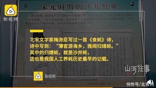 深圳闹市藏26万平方米千年古墟，宋代开始人工养蚝