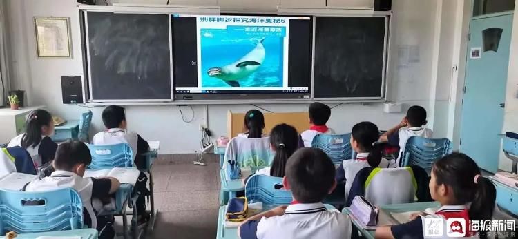 人与自然|人与自然和谐共生 青岛市崂山区晓望小学开展海洋教育系列活动