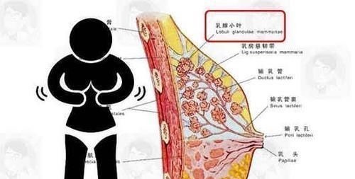 增生|癌症并非突如其来身上这5个不起眼的小症状,早已通知你