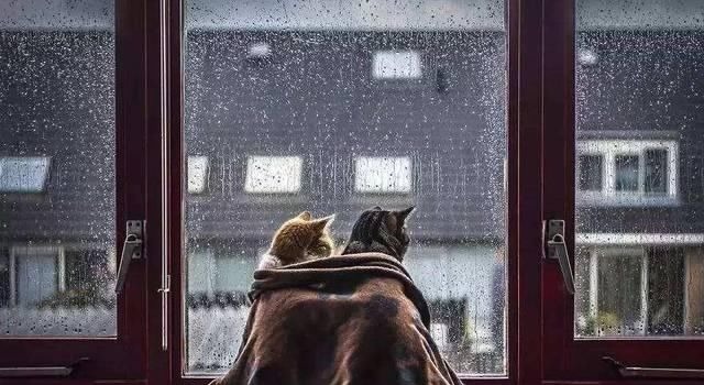 妙语&一生写诗2万余首的诗人,28字写小雨,最后7个字乃是一句妙语