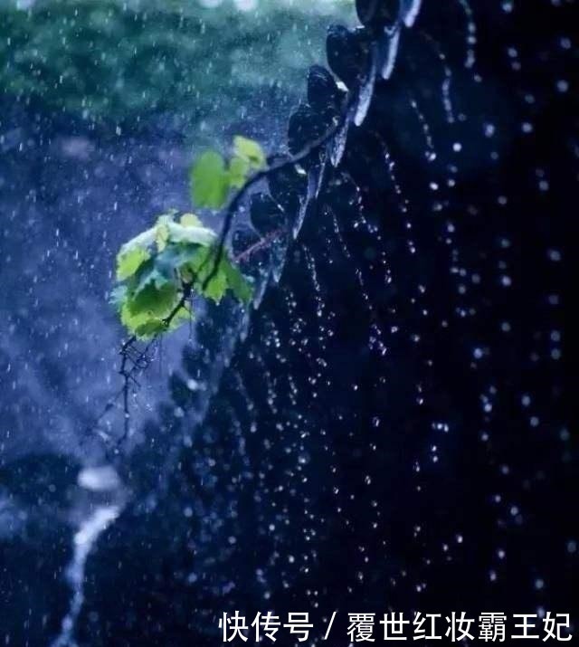 锦被&蒋捷最经典一首词，道尽人生三境遇，流传千年，读完令人感慨万分