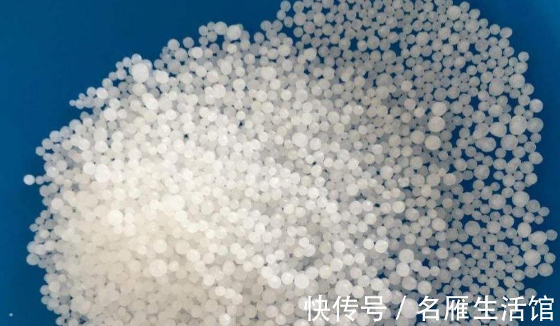 水溶肥|养花常用这3种肥，掌握住正确用法，养啥旺啥，枝叶茂开花勤