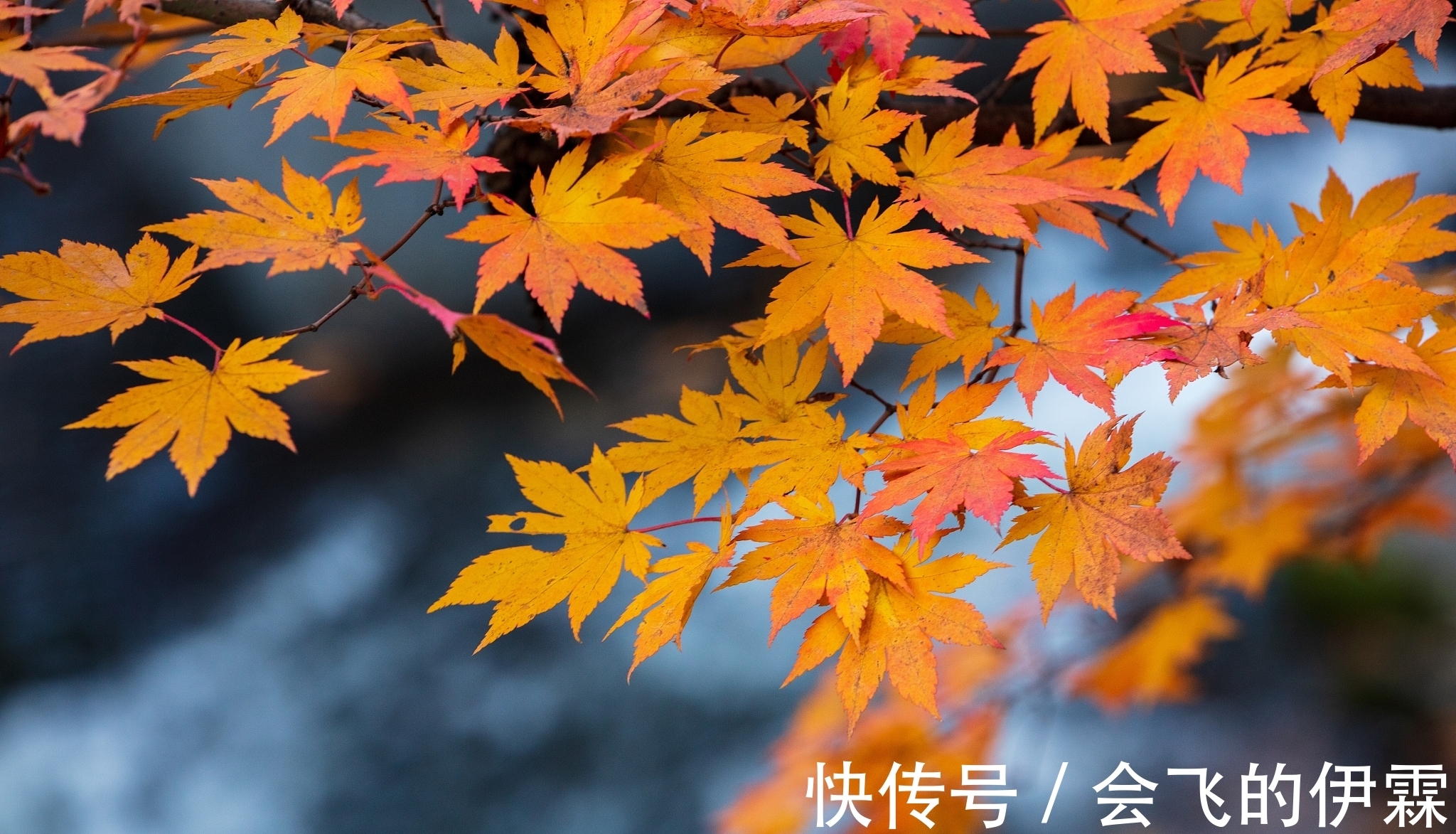 诗家&贫穷诗人留下一句名句就过世了,后代诗家怎么各显神通为他补诗?