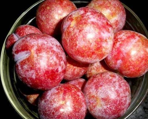 李子|这东西正在火热上市中,比玻尿酸更强,常吃皮肤好,细嫩又红润!