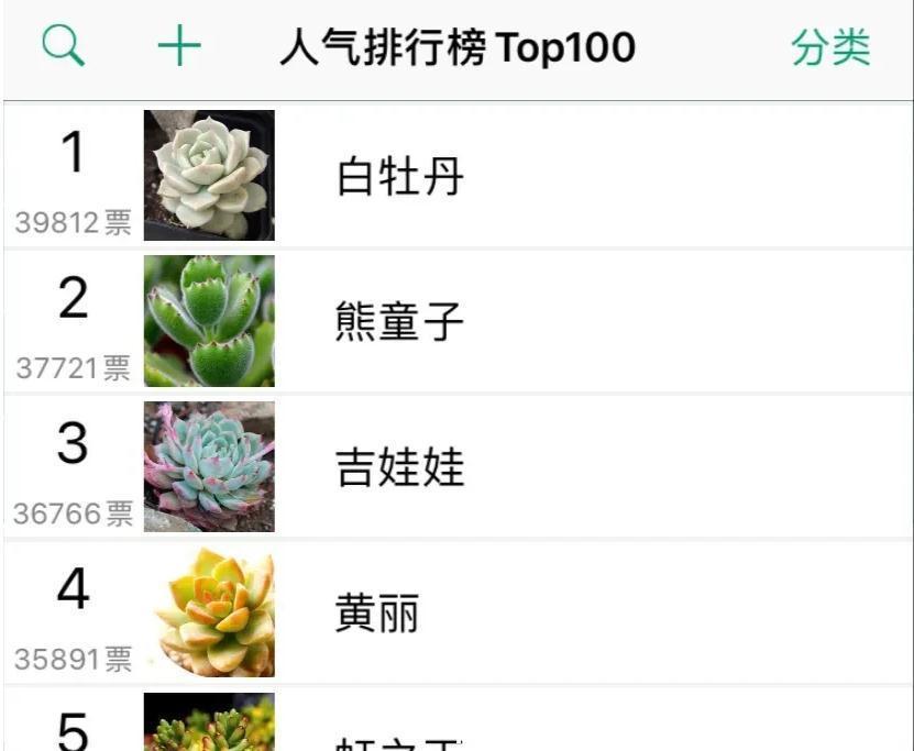 万万想不到此个,多肉竟然占,人气排行榜第一