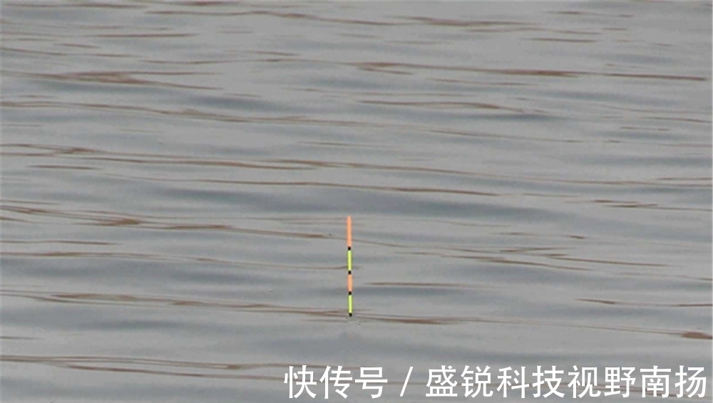 夏天|夏天刮风天气鱼好钓,钓下风还是钓上风?是看风力大小吗?