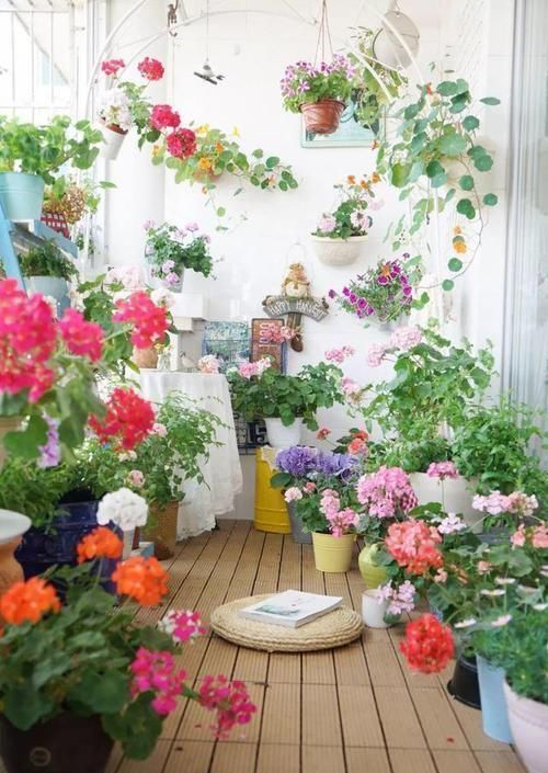 卧室、客厅必养的5种花,甲醛少、空气好,家人身体倍儿健康