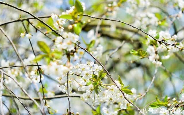 人生三碗面,你拥有哪一碗?