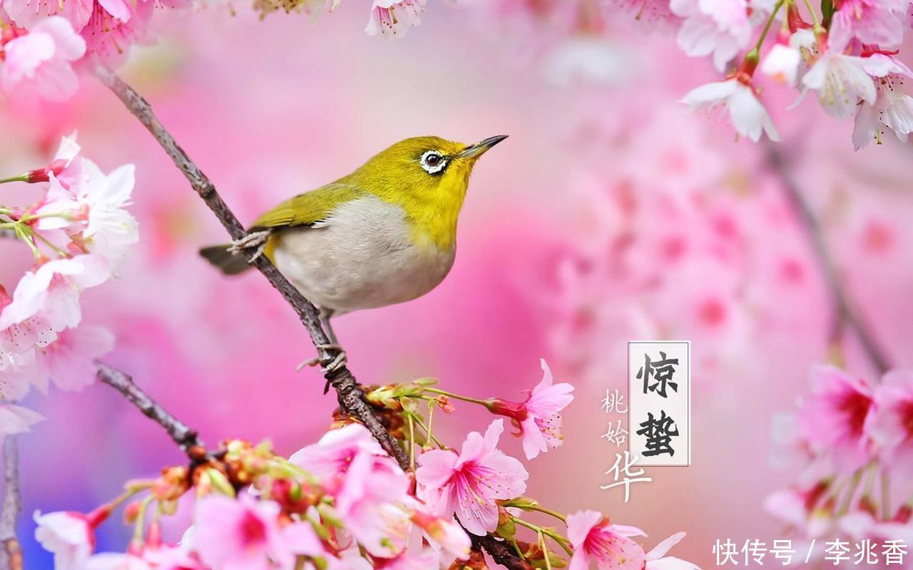 二十四节气之惊蛰祝福语,万物复苏,好事正酿