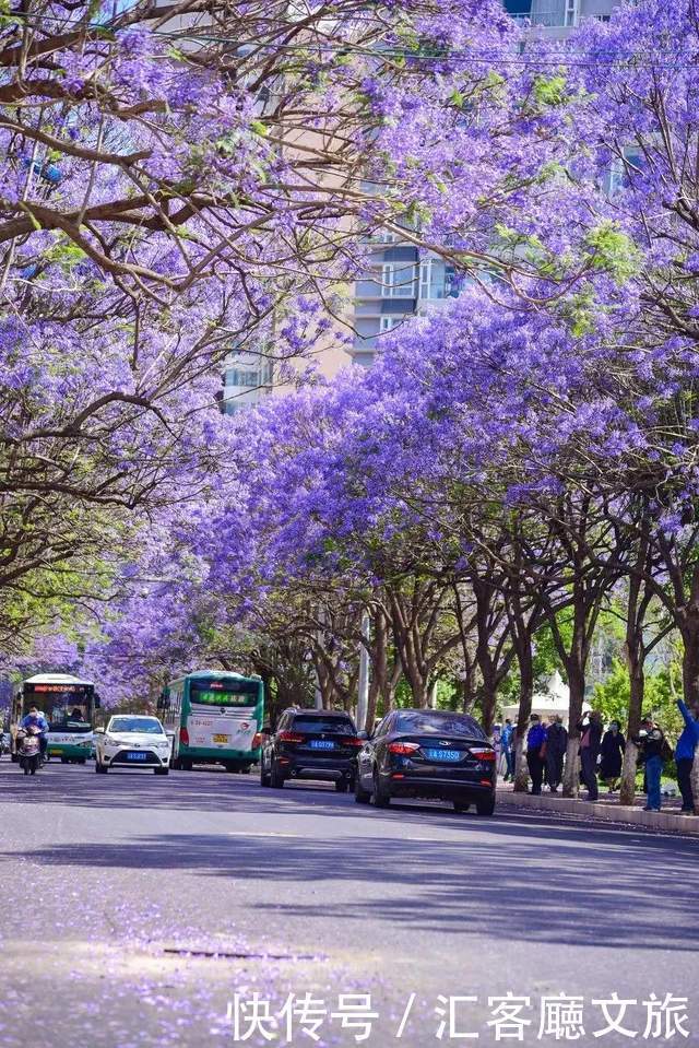 等一场花事，做一回花痴，2021全国赏花时间表大全，约么？