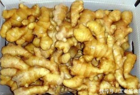 保存生姜有窍门，老师傅教你43招！生姜新鲜如初，不发芽不干瘪