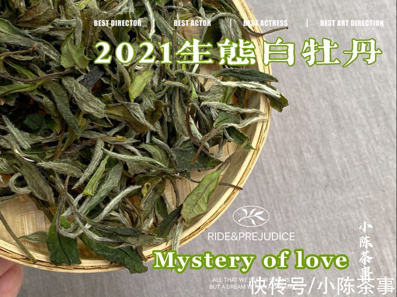 绿茶&六大茶类的划分标准，白茶、绿茶、红茶、黑茶，是靠颜色划分吗？