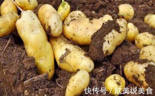 蔓越莓|中年人不妨常吃的食物,养肝排毒,润肤养颜,肌肤更细嫩