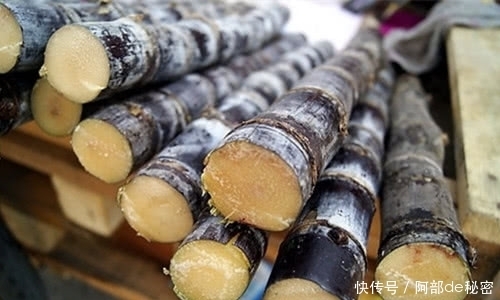 讲究|又到甘蔗大量上市的时节,学会这几个妙招让你吃的开心又健康