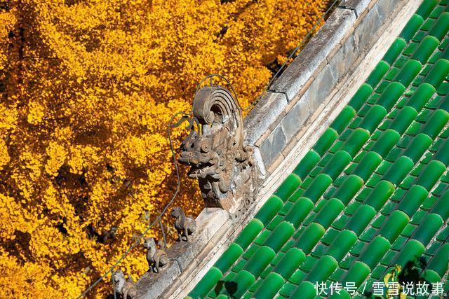 景点|北京古建筑景点，除了紫禁城以外，游客是否知道“凤凰巢”呢