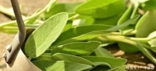 万能生活小妙招,太有用了,赶紧收藏