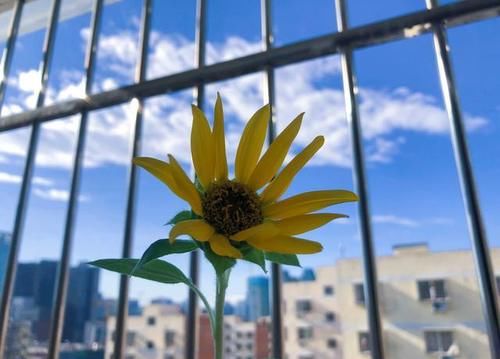  质量|睡眠质量不好怎么办，可以改善吗？两个步骤，带你远离失眠困扰