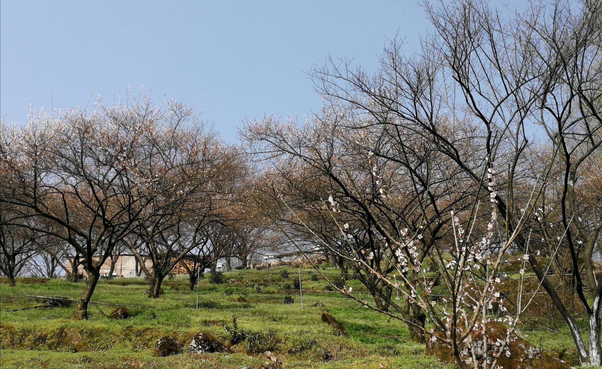 重游大坪山